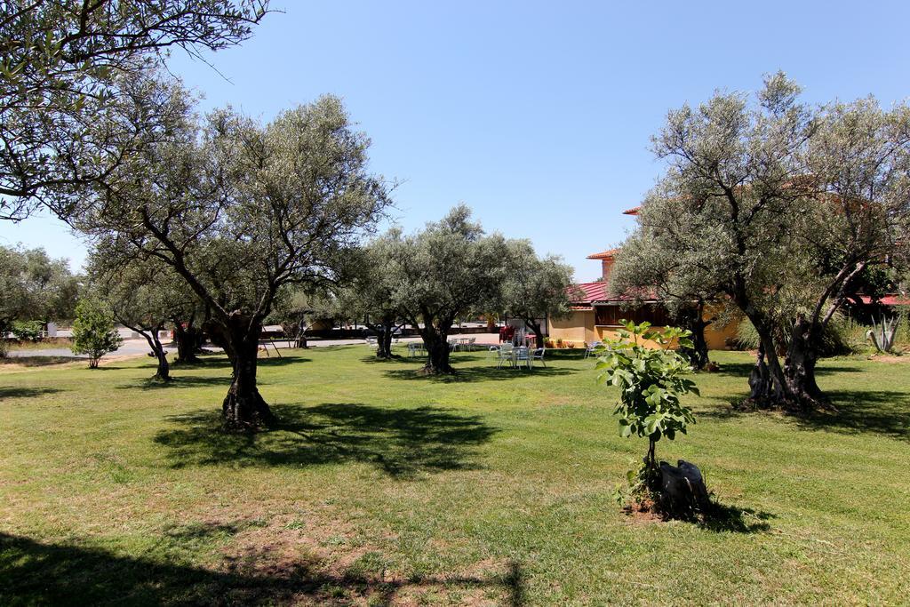 Hotel Rural Hojaranzos Tejeda de Tiétar Exteriör bild