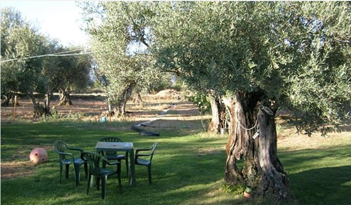 Hotel Rural Hojaranzos Tejeda de Tiétar Restaurang bild